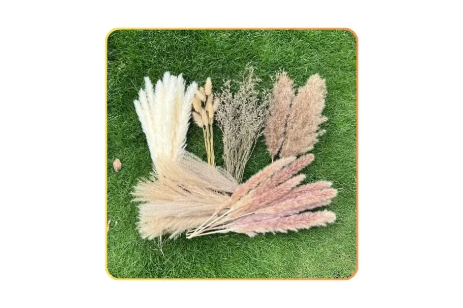 CZCTLUL 100PCS Pampas Grass Boho Home Décor – Full, In-Depth Review