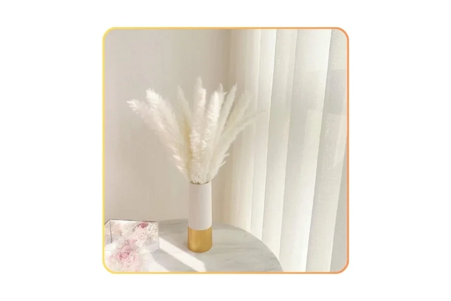 Comtelek 30PCS White Pampas Grass – Full, In-Depth Review