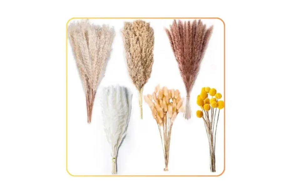 Secatoho 100PCS Natural Dried Pampas Grass Décor – Full, In-Depth Review